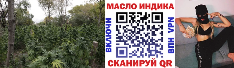 Купить где  Бирюч  ТГК концентрат 